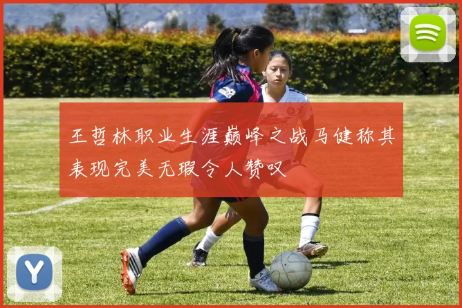 王哲林职业生涯巅峰之战马健称其表现完美无瑕令人赞叹