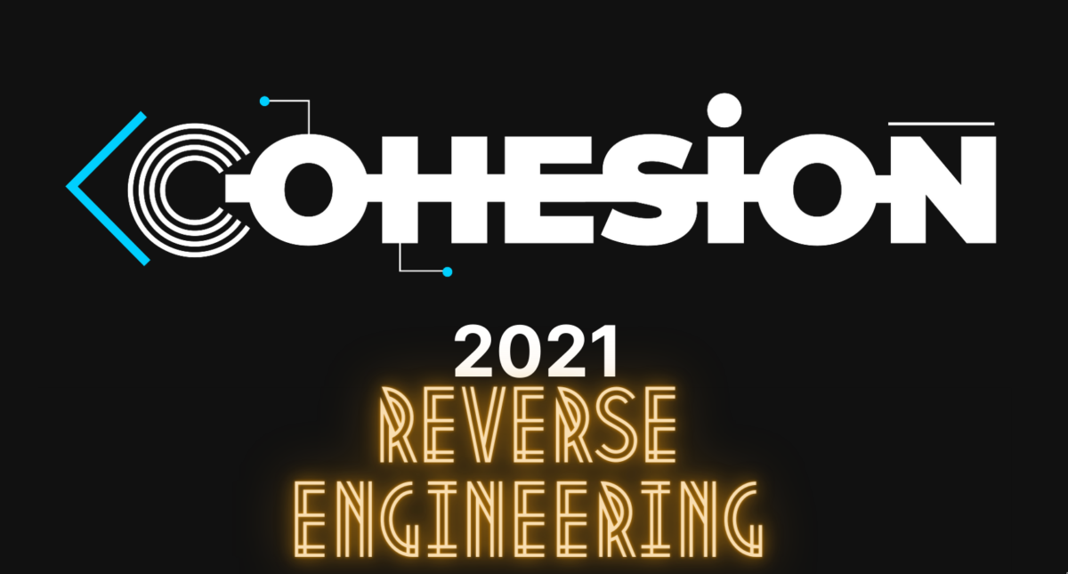 Reverse Engineering Challenges - Cohesion Writeups 6